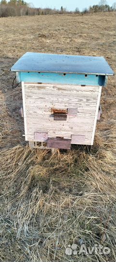 Ульи для пчёл б/у