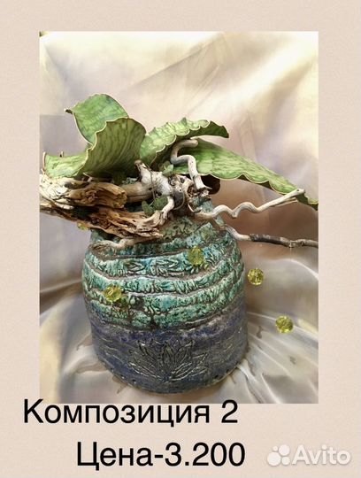 Композиции из комнатных растений