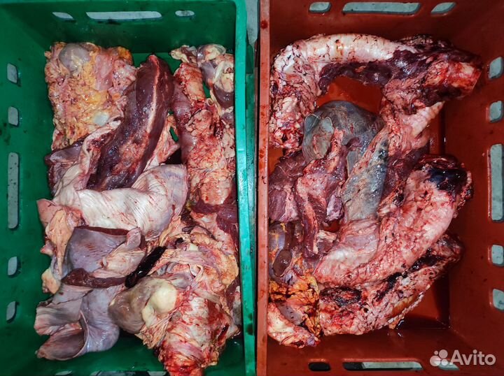 Корм, мясо для собак