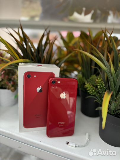 iPhone 8, 64 ГБ