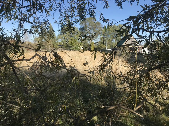 Участок 12 сот. (ИЖС)