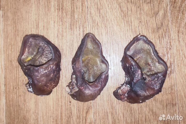 Лакомства для собак