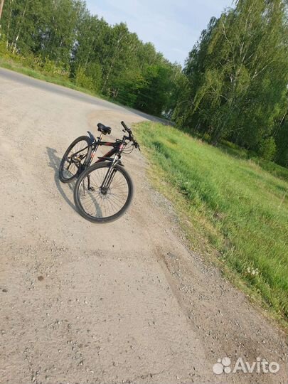 Велосипед 29