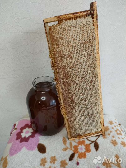 Мед натуральный,чувашский,в сотах и перекачанный