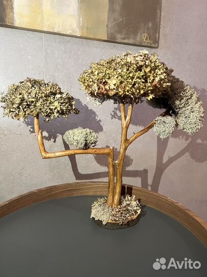 Дерево для интерьера