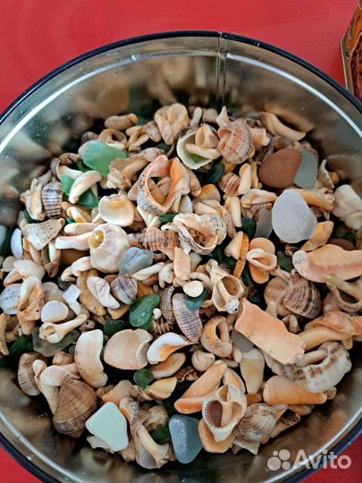 Ракушки морские и камешки