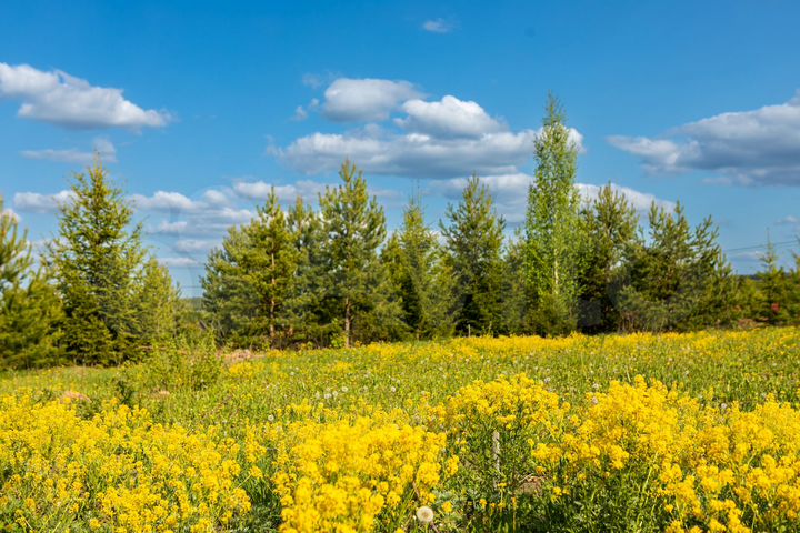 Участок 9,7 сот. (ИЖС)