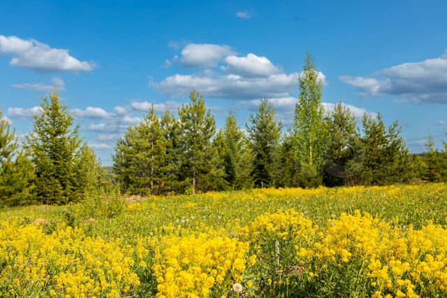 Участок 9,7 сот. (ИЖС)