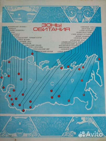 Спички коллекционный сувенирный набор