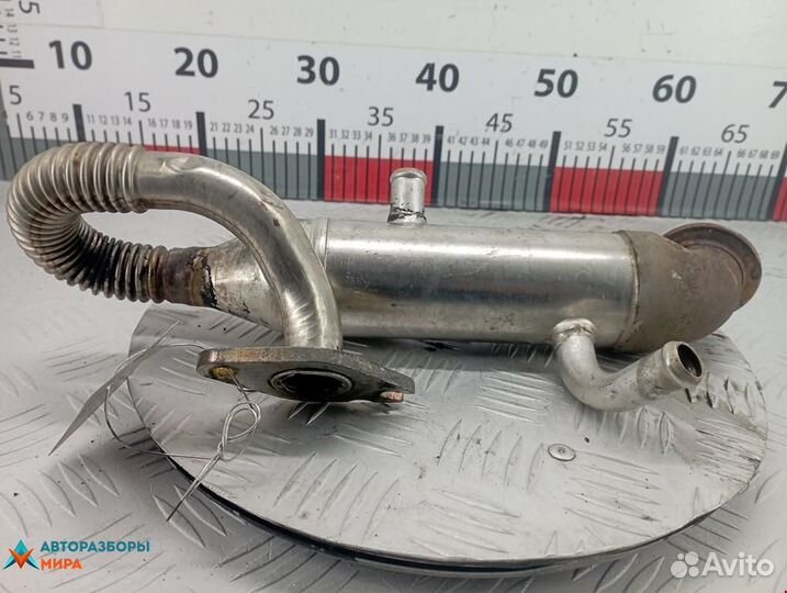 Охладитель EGR / Радиатор EGR Ford Focus рест