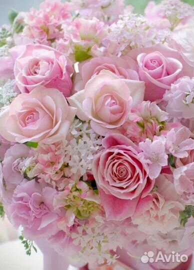 Репетитор по русскому языку. Подготовка к огэ, егэ