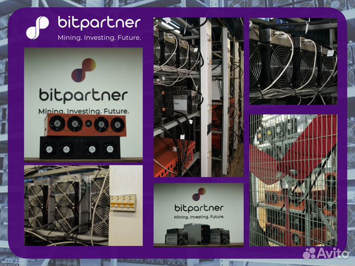 Майнинг-отель / хостинг / размещение Antminer Т21