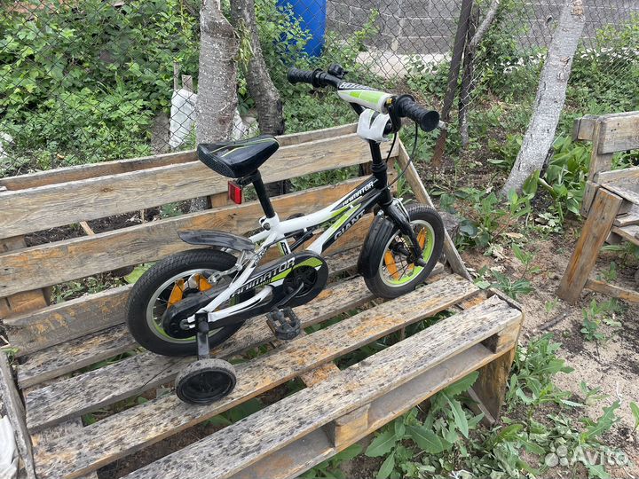 Велосипед детский Giant Animator 12