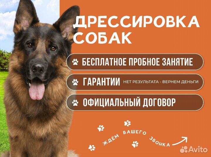 Идеальная собака с оплатой за результат. Гарантия