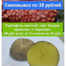 Продам картофель