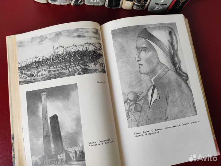 Книги серии жзл