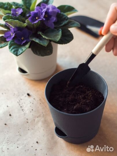 Грунт для фиалки 5 литров