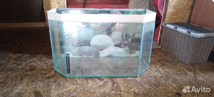 Аквариум