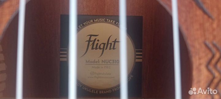 Укулеле flight концерт