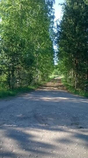 Участок 12,5 сот. (СНТ, ДНП)