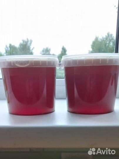 Мед Алтайский Свежий 2023г