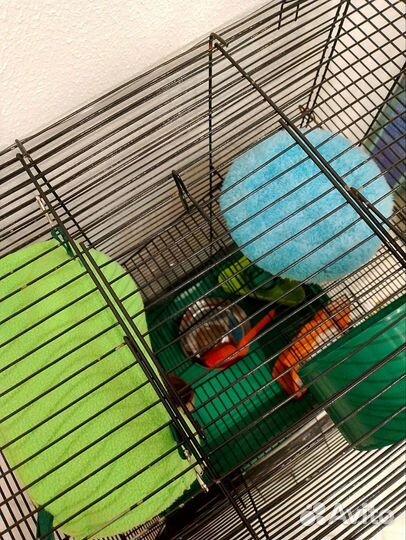 Клетка для грызунов большая