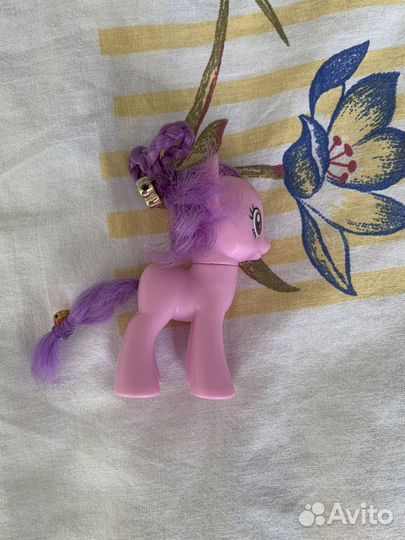 Пони редкая