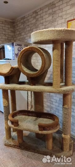 Когтеточка игровой центр