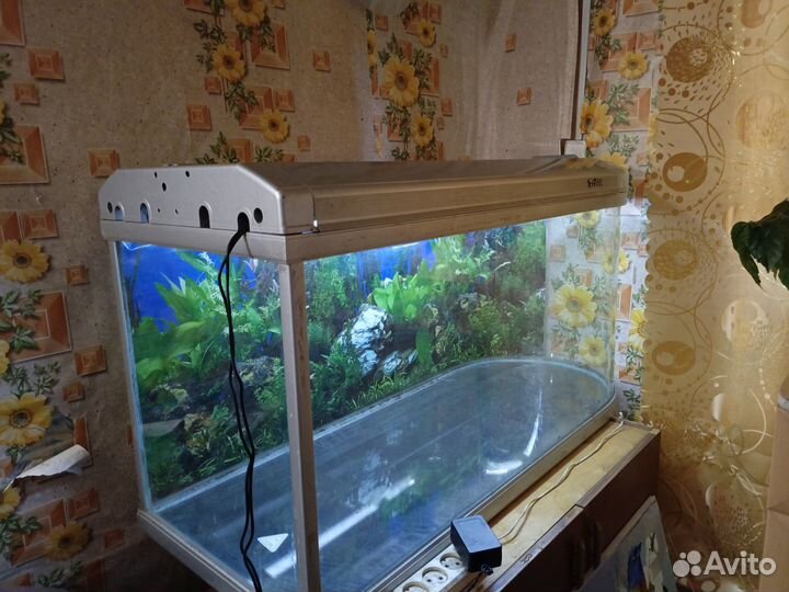 Продам аквариум