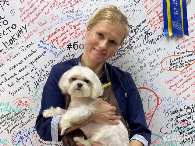 Грумер, груминг, стрижка собак в Лосинке