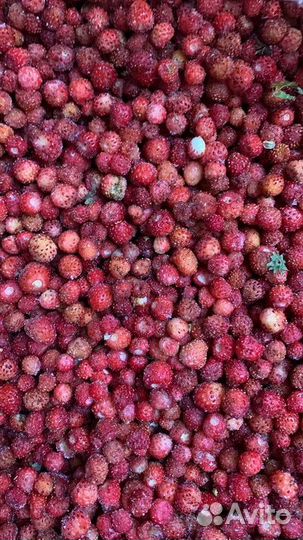 Земляника замороженная