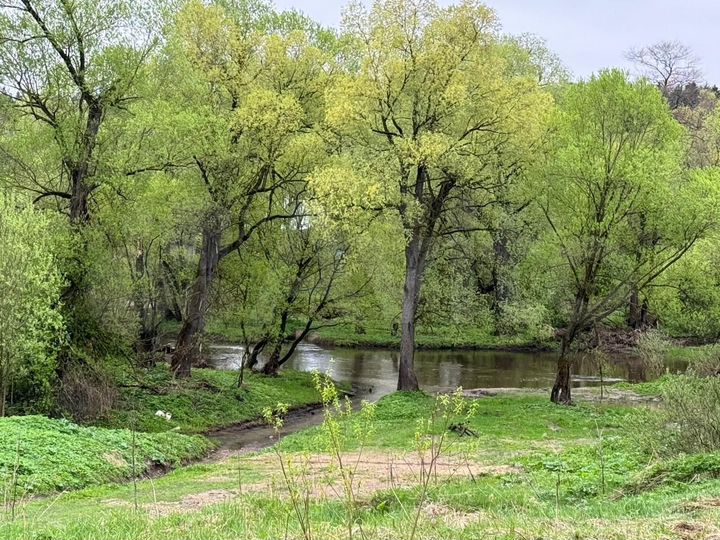 Участок 15 сот. (ИЖС)