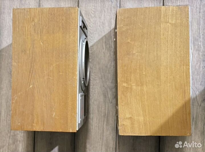 Колонки (акустическая система 15ас220)