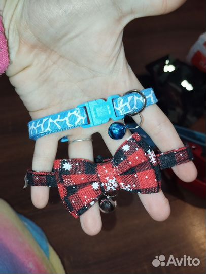 Ошейники, поводки, костюм для собак