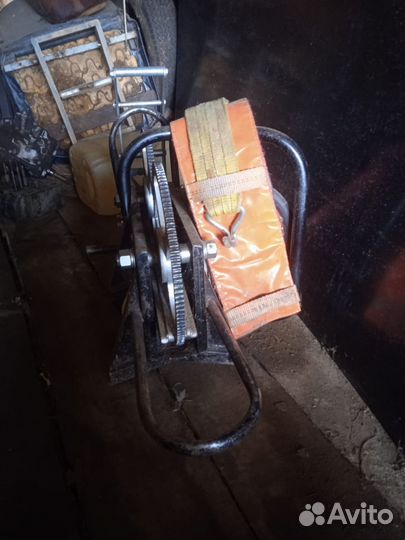 Кедротряс, шишкотряс