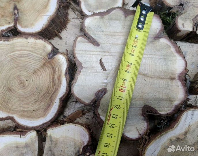 Спилы можжевельника / все размеры