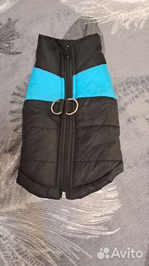 Одежда для маленьких собак