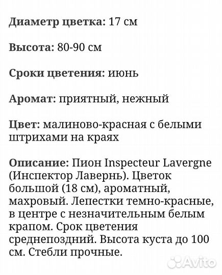 Пион Инспектор Лавернь