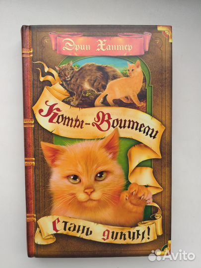 Книга Коты воители 