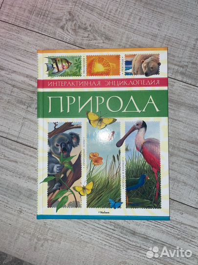 Развивающие книги для детей
