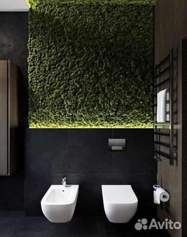 Фитодизайн для помещений