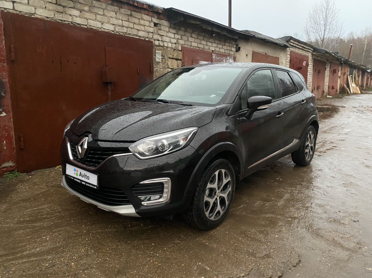 Renault Kaptur: фото владельца