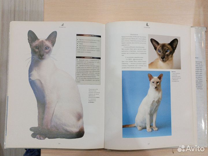 Энциклопедия о кошках