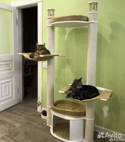 Когтеточка