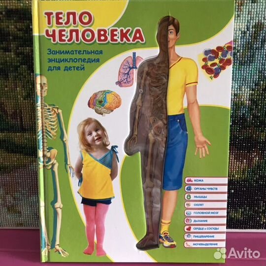 Книга энциклопедия Тело человека