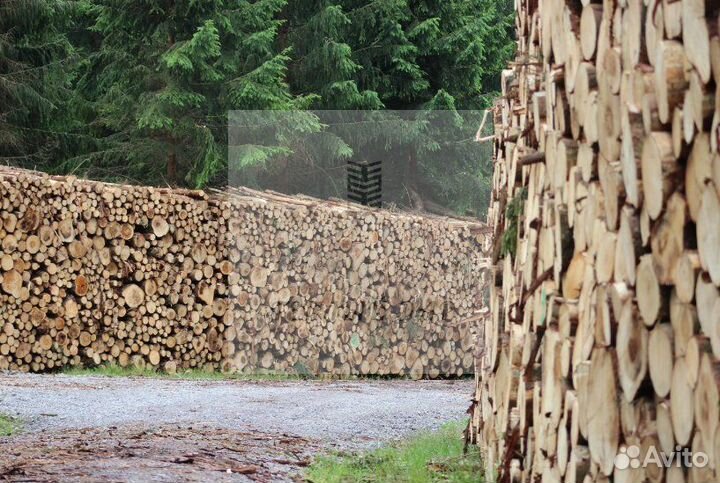 Дрова сухие