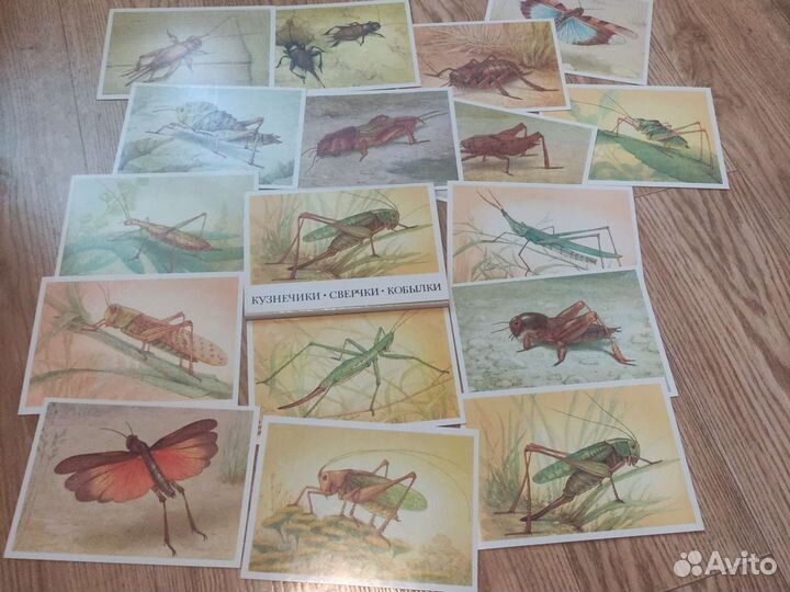 Наборы открыток СССР