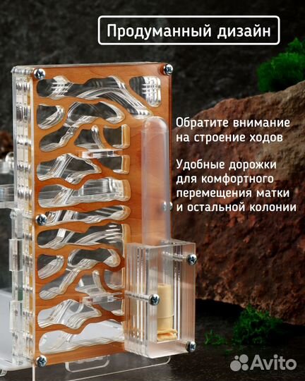 Вертикальная муравьиная ферма - 1 башня