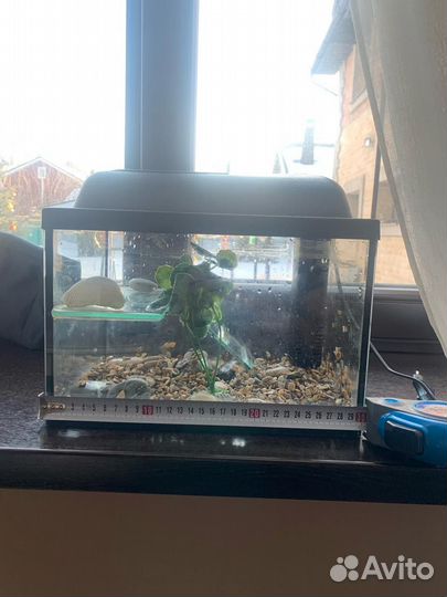 Аквариум с фильтром
