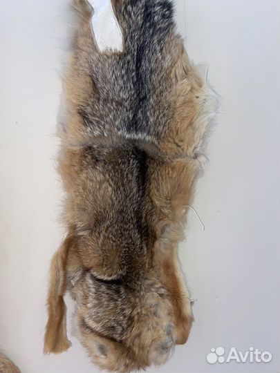 Шкура (мех) лисы рыжая (без хвоста)
